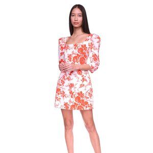NWT Cara Cara Belinda Dress - Size 6